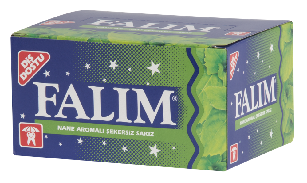 MINT FLAVOURED CHEWING GUM 100
PIECES