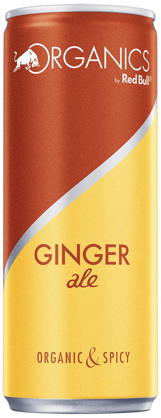 Organics Ginger Beer Bio 24 x 250ml Red Bull Organics