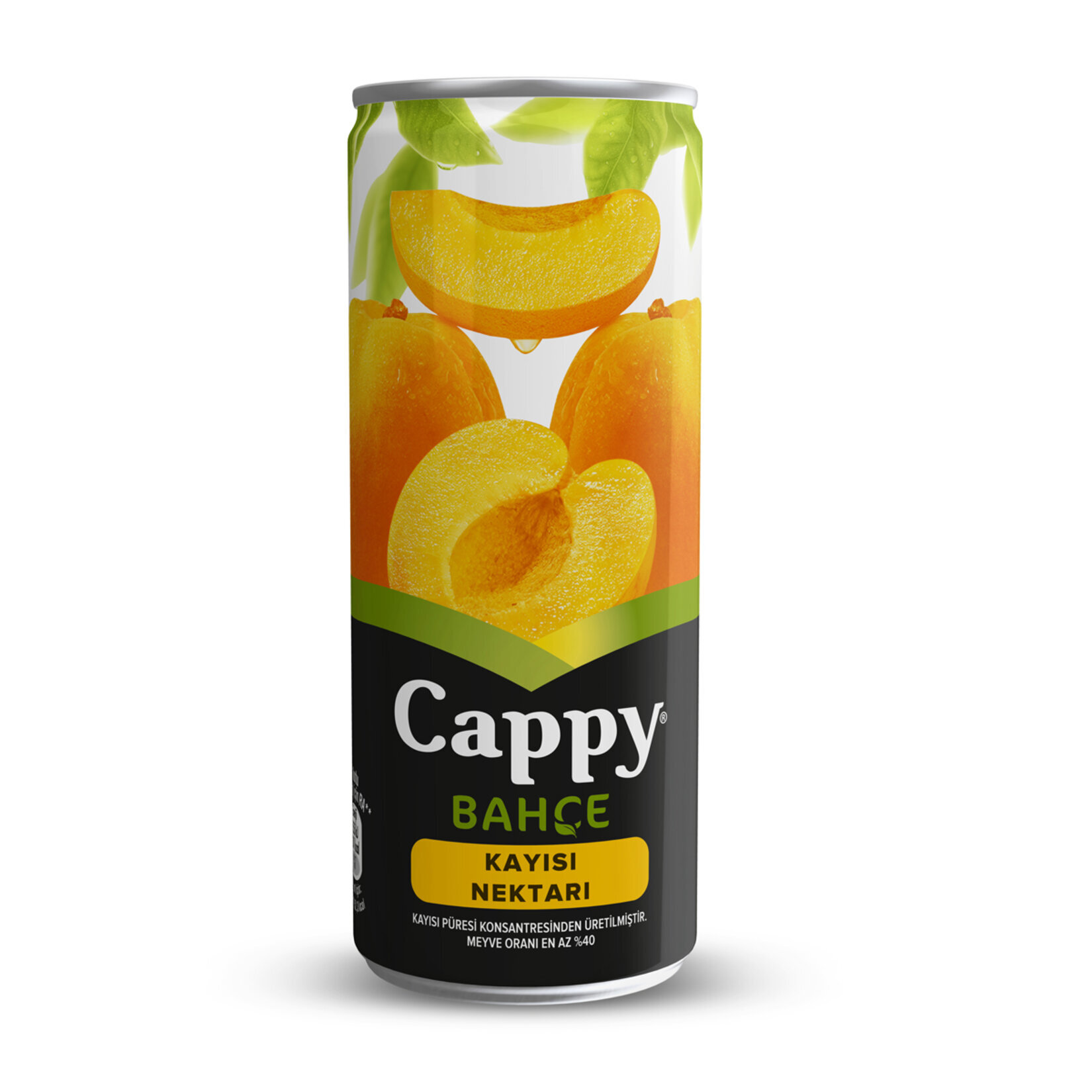 resm Cappy Kayısı Meyve Nektarı Kutu 250 ml 12'li