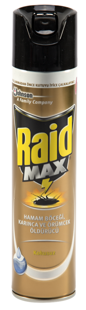 resm Raid Böceksavar Max 300 ml