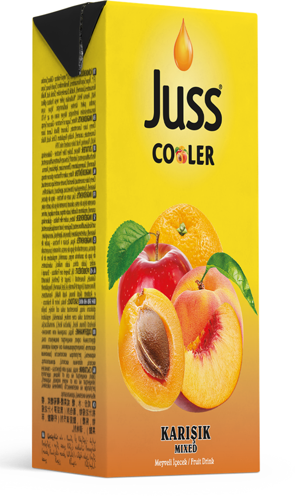 resm Juss Cooler Meyve Suyu Karışık 200 ml 27'li