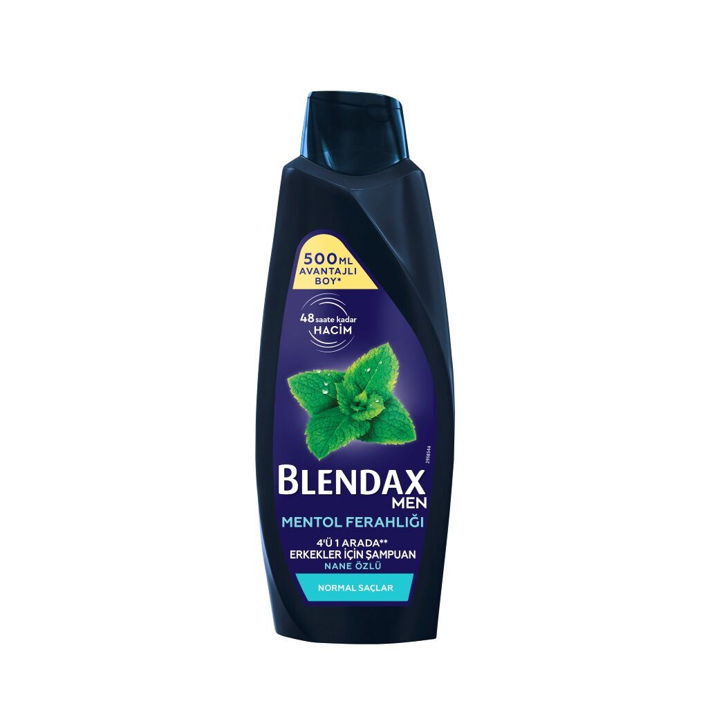 Blendax Erkek Mentol Şampuan 500 ml