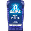 resm Kent Olips Mini Nane 12,5 g