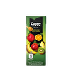 resm Cappy Mini Atom Meyve Nektarı  200 Ml