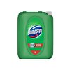 resm Domestos Çam Ferahlığı Çamaşır Suyu 5 L