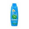 resm Blendax Isırgan Özlü Şampuan 500 ml