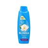 resm Blendax Yasemin Özlü Şampuan 500 ml