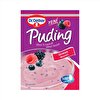 resm Dr.Oetker Orman Meyveli 81 g