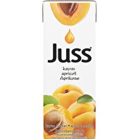 Juss Nektar Kayısı 200 ml 27'li