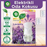 Airwick Elektronik Oda Kokusu Lavanta