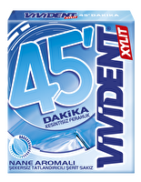 Vivident 45 Dk Sakız Nane 33 g
