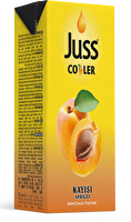 Juss Cooler Meyve Suyu Kayısı 200 ml 27'li