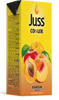 Juss Cooler Meyve Suyu Karışık 200 ml 27'li