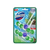 Domestos WC Blok 5'li Güç Tuvalet Bloğu 2'li Çam Ferahlığı 100g