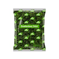 Frimer Dondurulmuş Ispanak 2,5 kg