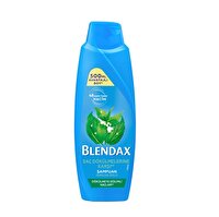 Blendax Isırgan Özlü Şampuan 500 ml