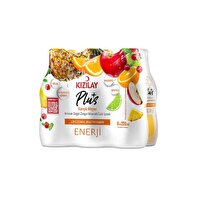 Kızılay Karışık Meyve Plus 200 ml