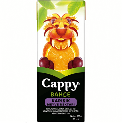Cappy Karışık Meyve Nektarı 200 ml 27'li