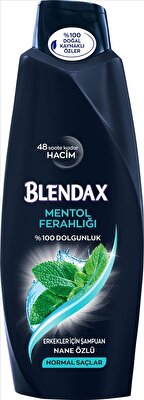 Blendax Erkek Mentol Şampuan 550 ml