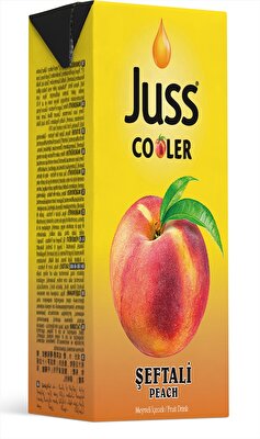 Juss Cooler Meyve Suyu Şeftali 200 ml 27'li