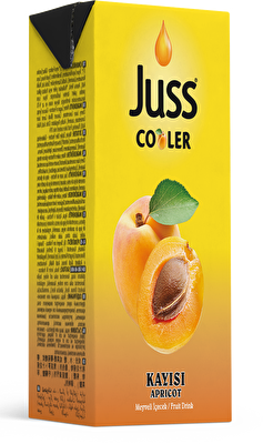 Juss Cooler Meyve Suyu Kayısı 200 ml 27'li