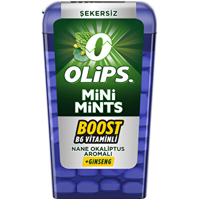 Kent Olips Mini Mints Nane 12,5 g