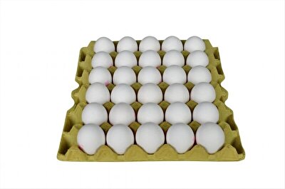 Erk Yumurta Beyaz L 30'lu