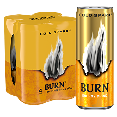Burn Gold M.P. 4x250 ml