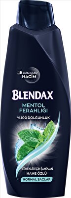 Blendax Erkek Mentol Şampuan 500 ml