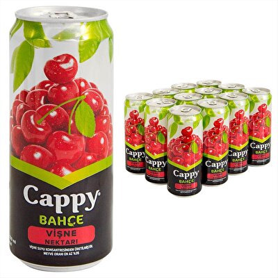 Cappy Vişneli Meyveli İçecek Kutu 330 ml 12'li