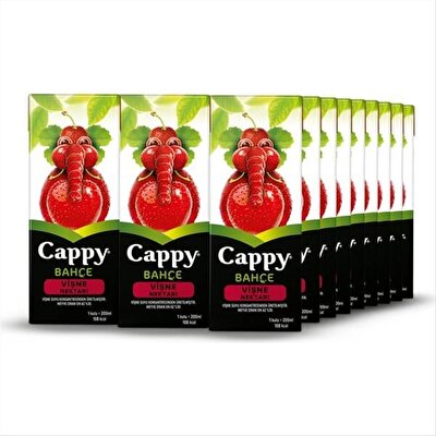 Cappy Vişneli Meyveli İçecek 200 ml 27'li