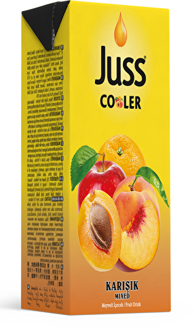 Juss Cooler Meyve Suyu Karışık 200 ml 27'li | Bizim Toptan Market