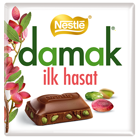 resm Nestle Damak İlk Hasar Antepfıstıklı Sütlü Çikolata 60 g