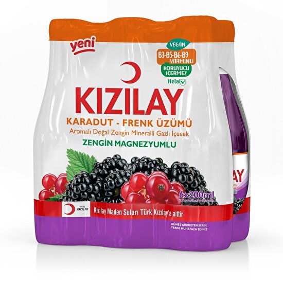 Kızılay Karadut Frenk Aromalı Doğal Maden Suyu 200 ml 6'lı
